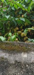 IMG_20200604_163628.jpg