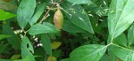 IMG_20200604_163754.jpg