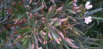 20200604_212203_compress80.jpg