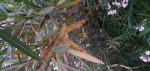20200604_212158_compress20.jpg
