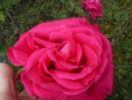 DSCN0709.JPG