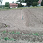 IMG_20200608_101403.jpg (161.7 Kio) Consulté 3245 fois semi de carottes bis