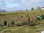 P1000940 (Custom).JPG