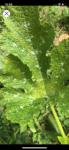 2536ADF8-DC73-4244-86E0-1059CD2228BF.png