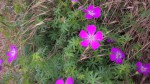 WP_20200612_11_32_14_Pro.jpg