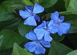 IMG_1306.JPG