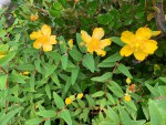 IMG_0636.JPG