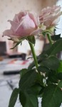 20200615_164249.jpg