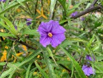 IMG_0642.JPG