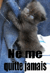 pour la vie.gif