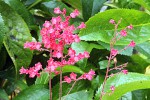 IMG_1319.JPG