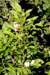 IMG_1322.JPG