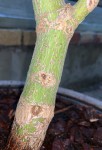 IMG_8176.JPG