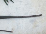 mouche mineuse poireaux.JPG