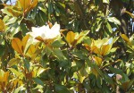 IMG_1345.JPG