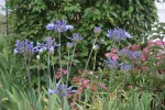 DSC03297.jpg