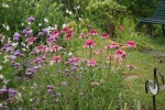 DSC03304.jpg