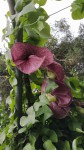 IMG-20200627-WA0000~2.jpg