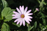 IMG_0982.JPG