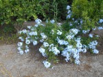DSCN0794.JPG