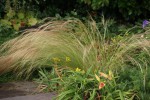 DSC03335.jpg