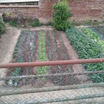 IMG_20200630_171852.jpg