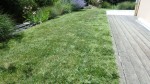 P6301410.jpg