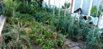 IMG_20200629_210408.gif