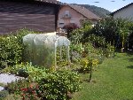 abri à tomates.JPG