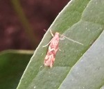 IMG_20200707_111359.jpg