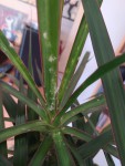IMG_20200712_190853.jpg