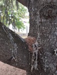 20200728_162508.jpg