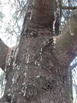 20200728_162534.jpg