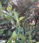 20200728_162739.jpg