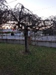 20200728_163227.jpg