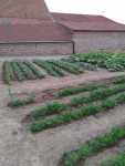 IMG_20200801_070852.jpg