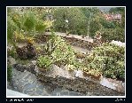 Jardin Méditérrannéen 2.jpg