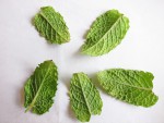 taches menthe-2.jpg