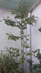 20200801_191507.jpg