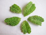 taches menthe-1.jpg