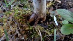 DSC00504.JPG