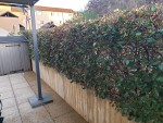 20200805_210311_compress1.jpg