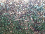 20200805_210312_compress59.jpg