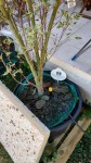IMG_20200806_144901.jpg