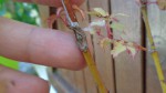 DSC00543.JPG
