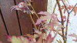 DSC00545.JPG