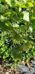 20200807_124529.jpg
