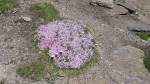 20200806_154721.jpg