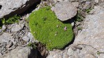 20200806_154147.jpg