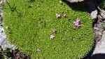 20200806_154153.jpg